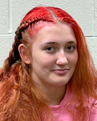 Sophia Wilson missing person case profile photo