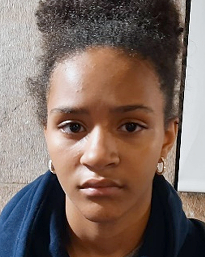 Phoenix Ortiz missing person case in New York, New York