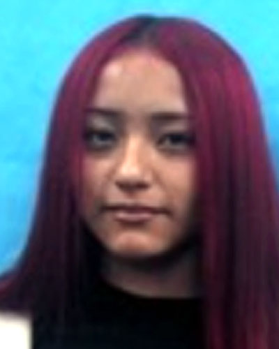 Isabella Olivarez missing person case in Mckinney, Texas